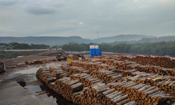 Understanding the Role of Albasian Wood Commodities in the Economy of Batang City